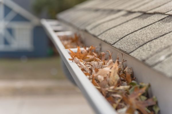Leaf Barrier Installation in New Lenox